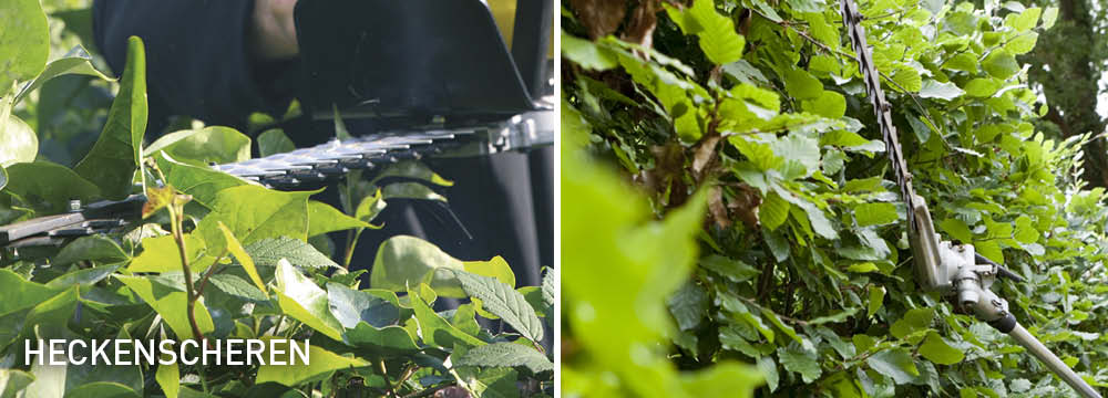 Heckenschneider