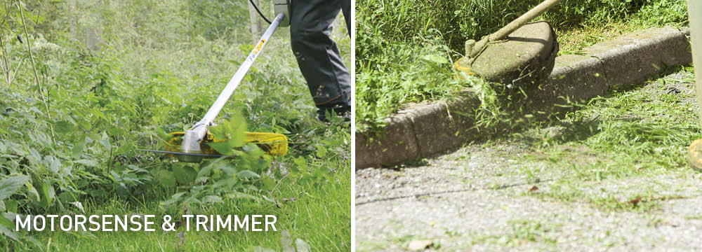 Motorsense & Freischneider